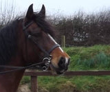 English Sedgewick Leather Riding Bridle Single/Double